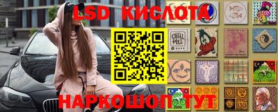 стаф Новокубанск