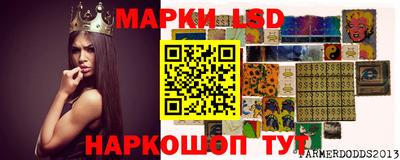 стаф Новодвинск