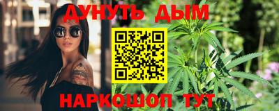 стаф Новокубанск