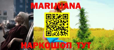 стаф Новокубанск