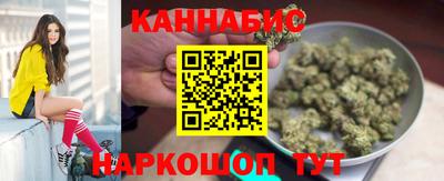 стаф Новокубанск