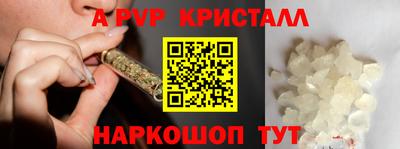 стаф Новодвинск