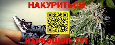 стаф Новодвинск
