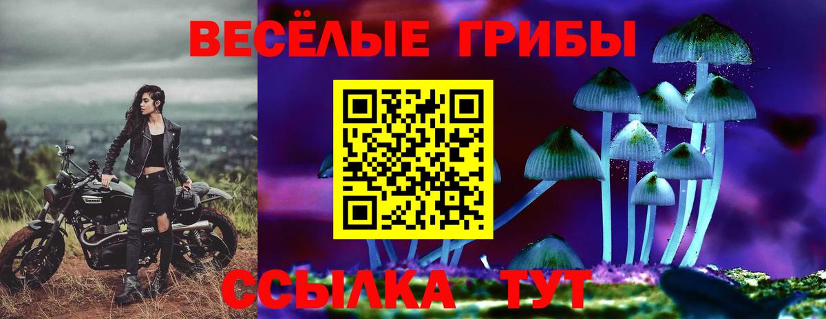 Галлюциногенные грибы мицелий  Вход с VPN  Галлюциногенные грибы GOLDEN TEACHER  Сунжа 